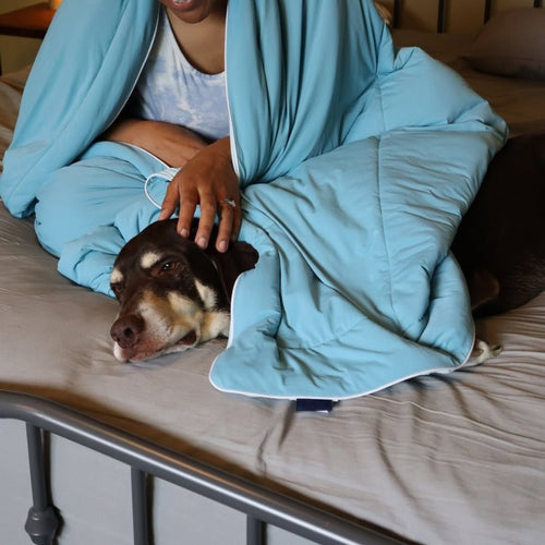 ZEE® SweatFree Cooling Comforter