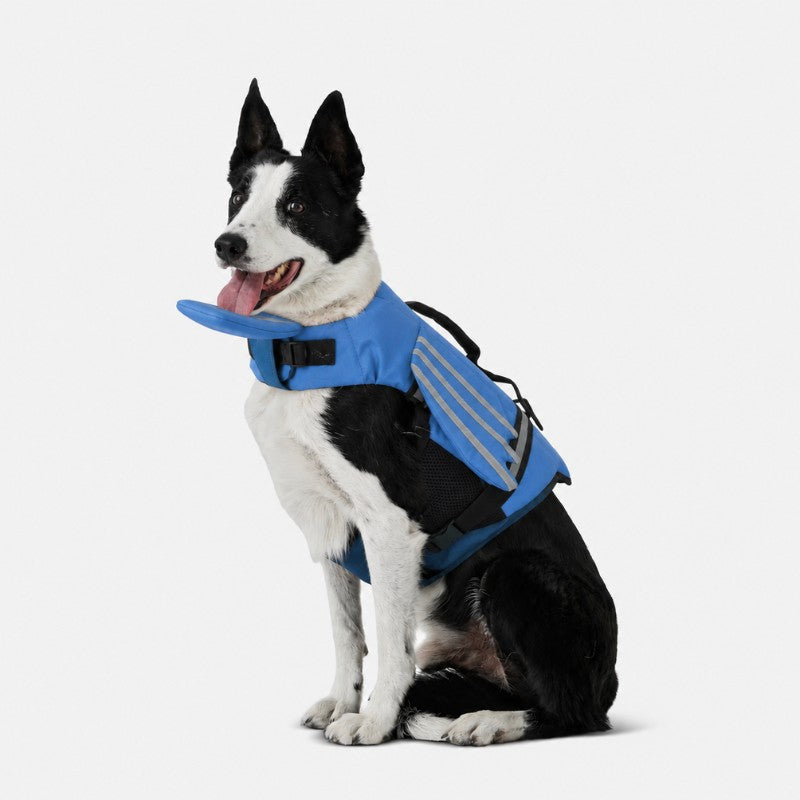 ZEE Dog Life Jacket 2.0 — All Sizes Available