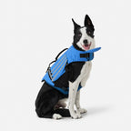 ZEE Dog Life Jacket 2.0 — All Sizes Available