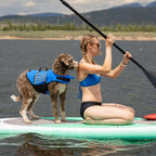 ZEE Dog Life Jacket 2.0 — All Sizes Available