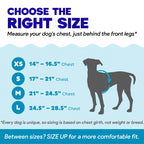 ZEE Dog Life Jacket 2.0 — All Sizes Available